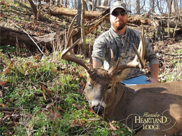 Illinois whitetail buck